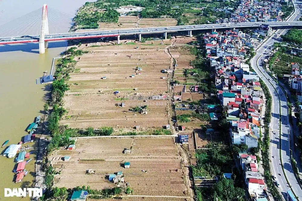 Lượng Giá Giá Trị Định Cư Ven Sông Hồng: Bước Đệm Quan Trọng Trước Quyết Định Phá Dỡ Và Tái Định Cư
