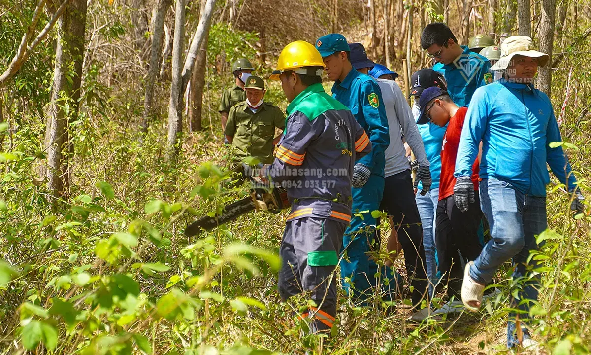Mở Thông Tuyến Đường Xuyên Núi Lớn Vũng Tàu: Cơ Hội Mới Cho Bất Động Sản Và Du Lịch Sinh Thái