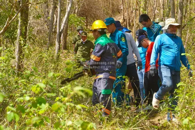 Mở Thông Tuyến Đường Xuyên Núi Lớn Vũng Tàu: Cơ Hội Mới Cho Bất Động Sản Và Du Lịch Sinh Thái