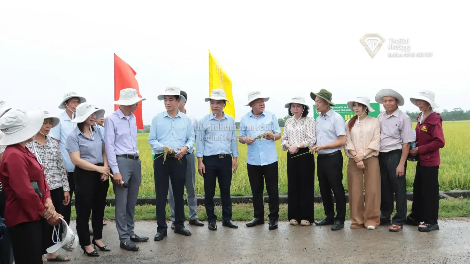 Nâng Tầm Giá Trị Lúa Gạo Thủ Đô Qua Mô Hình Sản Xuất An Toàn và Hiện Đại: Tác Động Đến Thị Trường Bất Động Sản Nông Thôn Hà Nội