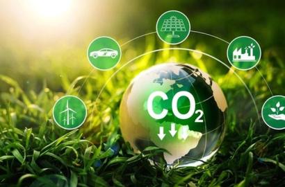 Nghị định mới về dịch vụ hấp thụ và lưu giữ carbon của rừng: Tác động đến thị trường bất động sản và đầu tư bền vững tại Việt Nam