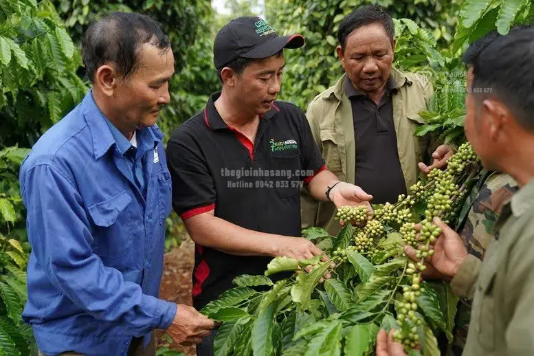 Nghị quyết 10 và Tác Động Đến Môi Trường Đầu Tư FDI: Cơ Hội Mới Cho Bất Động Sản Công Nghiệp và Hạ Tầng Việt Nam