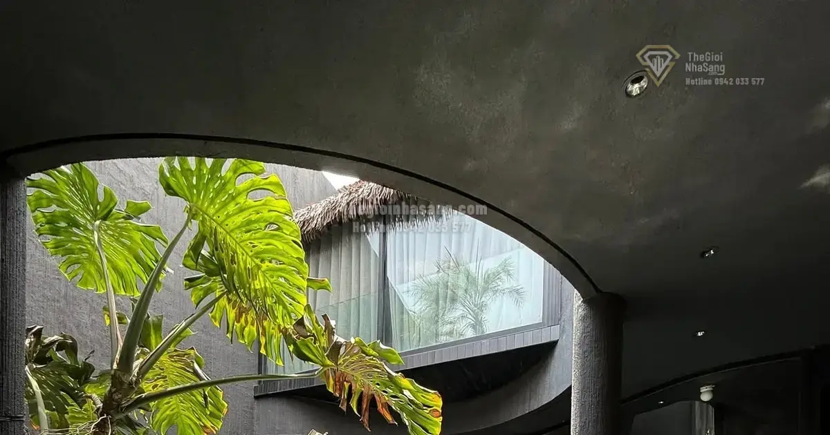 Ngôi Nhà Tông Màu Đen – Ốc Đảo Bình Yên Giữa Lòng Thành Phố Hồ Chí Minh