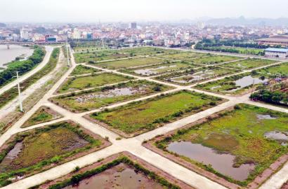 Ninh Bình chuẩn bị đấu giá 4 khu đất vàng gần 7,5 ha mở ra cơ hội đầu tư thương mại dịch vụ 2026