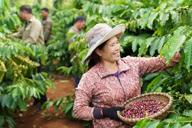 Doanh nghiệp mời nông dân trồng cà phê tham quan nhà máy: Giải pháp khuyến khích canh tác bền vững