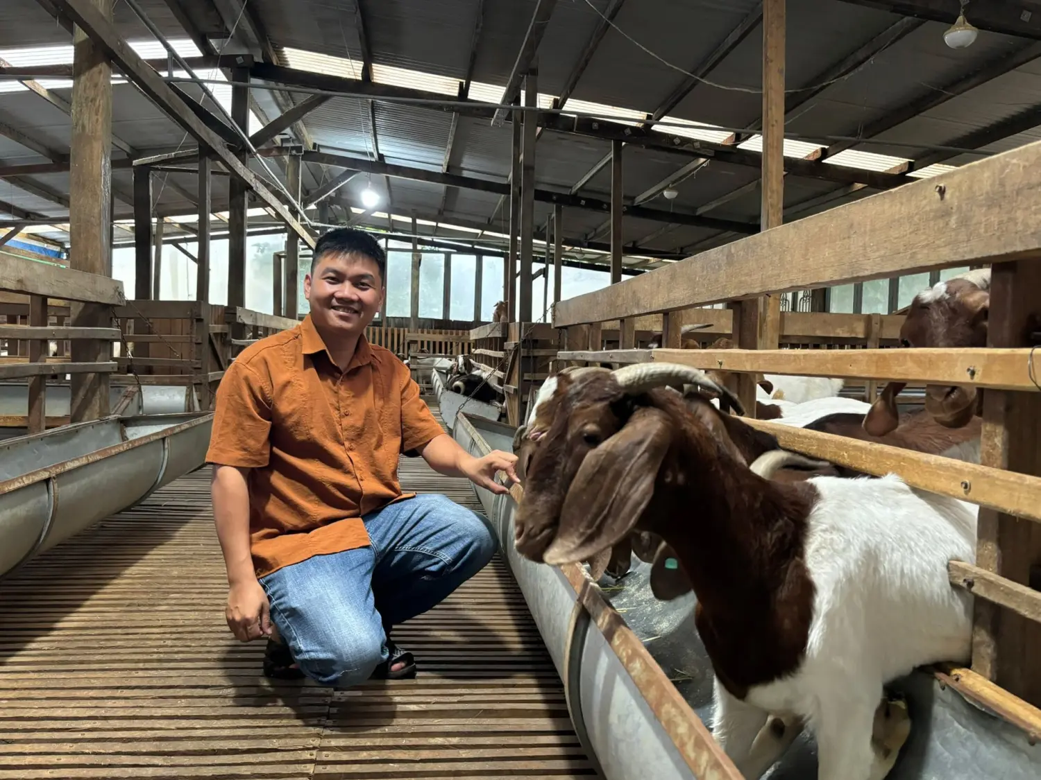 Nông dân 9X liên kết nuôi dê Boer - Tạp chí Chăn nuôi Việt Nam