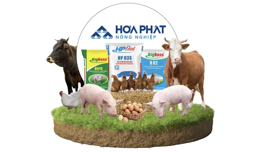 Đằng sau quyết định IPO của Nông nghiệp Hòa Phát: Cơ hội và thách thức?
