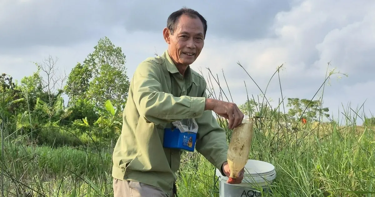 Cán bộ nghỉ hưu ném tiền qua cửa sổ: Thực hư chuyện thu hàng trăm triệu đồng/năm?