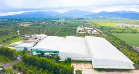 Nutrifood rót thêm 761 tỷ đồng vào nhà máy chế biến sữa tại Gia Lai - Baodautu.vn