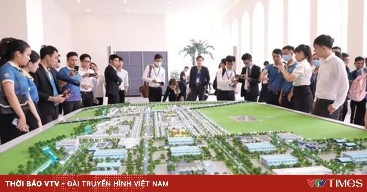 Đào Tạo 'Chui' Môi Giới Bất Động Sản: Học 1-2 Buổi Có Chứng Chỉ?