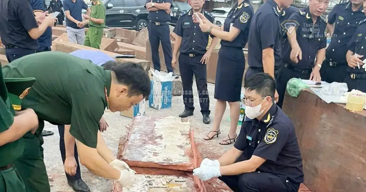 Phát Hiện Lô Ngà Voi Lớn Tại Cảng Quy Nhơn: Tác Động Đến An Ninh Và Thị Trường Bất Động Sản Vùng Miền Trung
