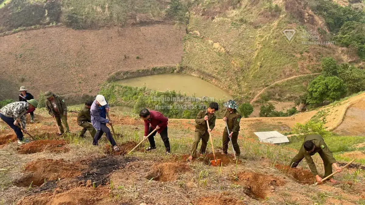 Phát Triển Kinh Tế Nông Nghiệp Vùng Đồng Bào Dân Tộc Thiểu Số: Cơ Hội Mới Cho Thị Trường Bất Động Sản Miền Núi 2026