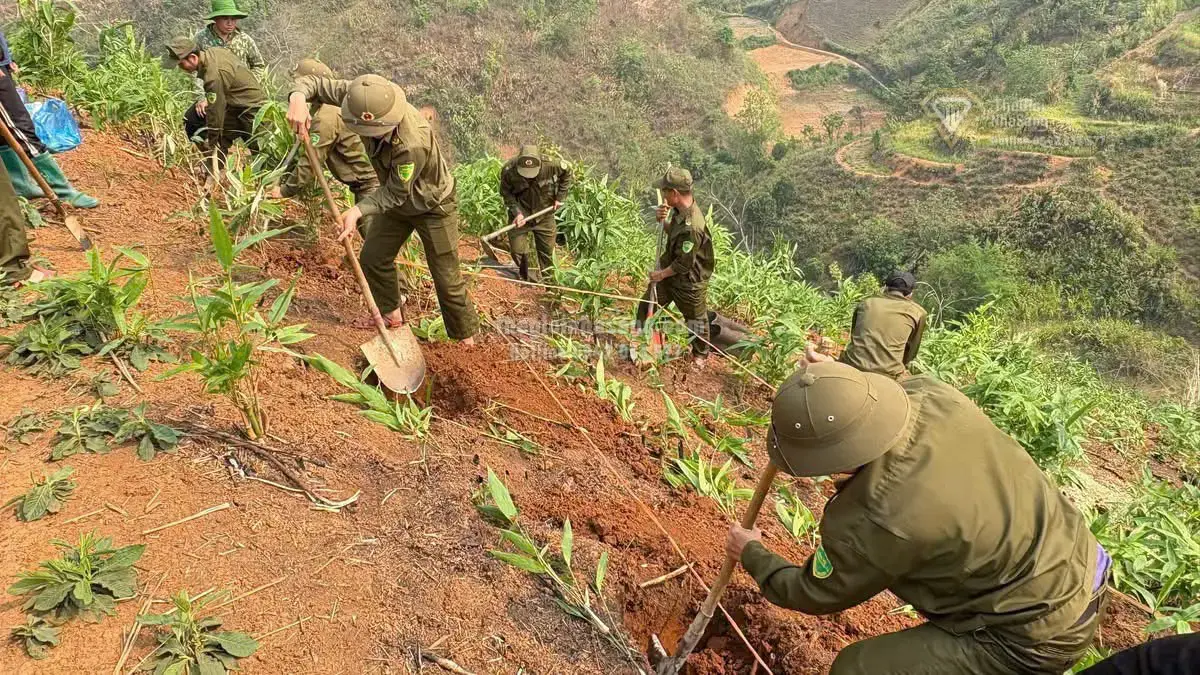 Phát Triển Kinh Tế Nông Nghiệp Vùng Đồng Bào Dân Tộc Thiểu Số: Cơ Hội Mới Cho Thị Trường Bất Động Sản Miền Núi 2026