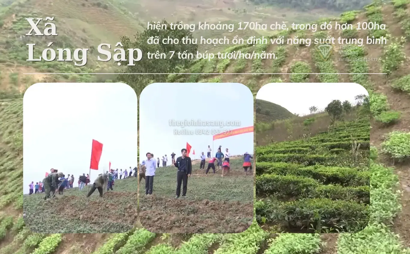 Phát Triển Kinh Tế Nông Nghiệp Vùng Đồng Bào Dân Tộc Thiểu Số: Cơ Hội Mới Cho Thị Trường Bất Động Sản Miền Núi 2026