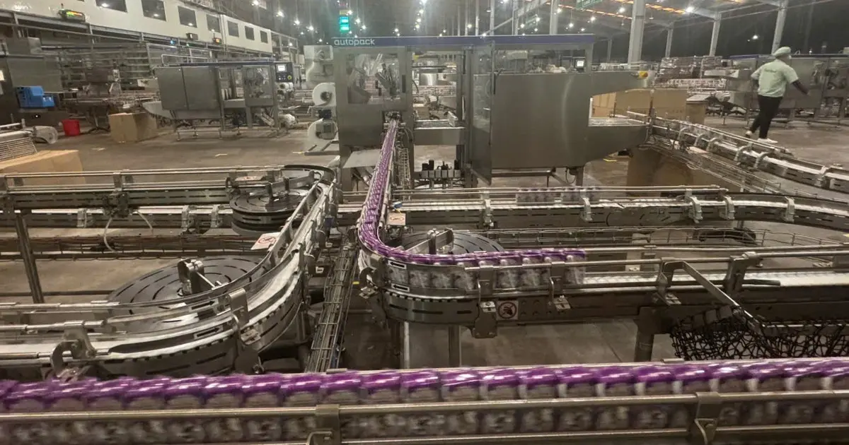 Gia Lai sẽ trở thành 'thiên đường bò sữa' mới? - Báo Thanh Niên