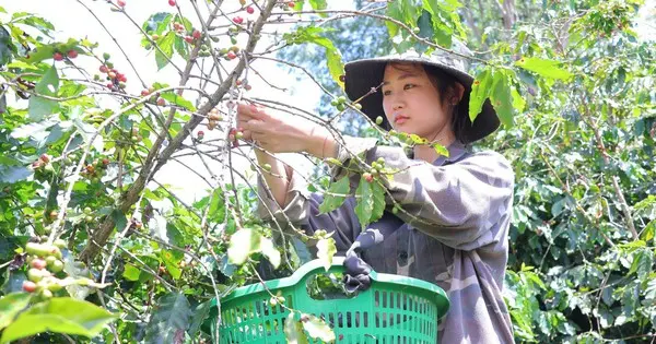 Cô Cự Yên Tâm Học, Mọi Chuyện Để Cha Lo: Gương Mặt Học Bổng Vì Tương Lai Việt Nam