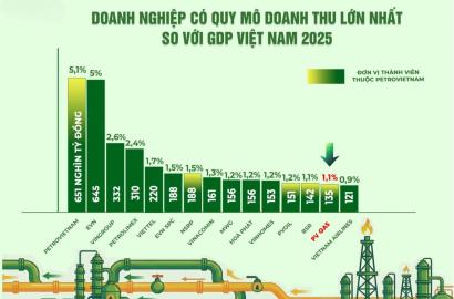 PV GAS và Tác Động Đến Thị Trường Bất Động Sản Việt Nam Trong Bối Cảnh Kinh Tế 2025-2026