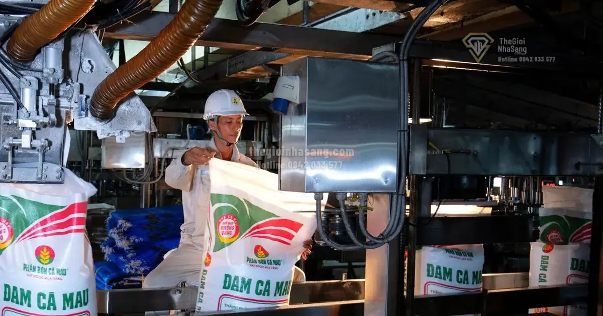 PVCFC Định Hướng Phát Triển Đến 2050: Cơ Hội Mở Rộng Chuỗi Giá Trị Nông Nghiệp và Hạ Tầng Kinh Tế Việt Nam