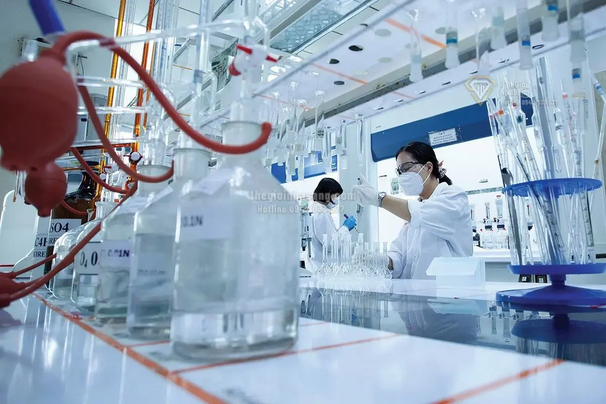 PVCFC Định Hướng Phát Triển Đến 2050: Cơ Hội Mở Rộng Chuỗi Giá Trị Nông Nghiệp và Hạ Tầng Kinh Tế Việt Nam