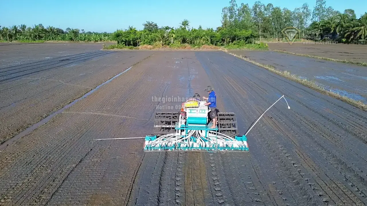 Quản lý dinh dưỡng chính xác: Giải pháp bền vững cho canh tác lúa và tác động đến thị trường bất động sản nông nghiệp ĐBSCL