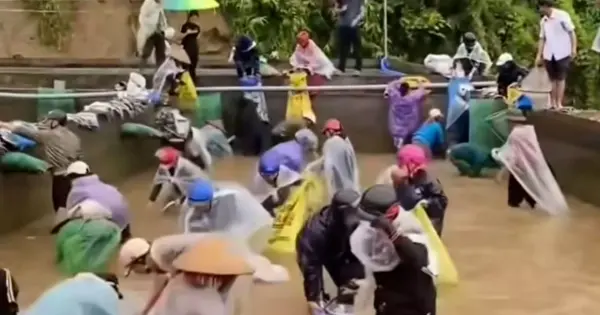 Sự thật về thông tin cả chục người nhảy xuống bể “hôi” cá, mặc chủ trại bất lực van xin