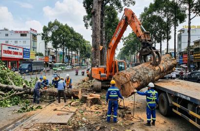 Tác Động Của Dự Án Metro Số 2 Đến Môi Trường Và Thị Trường Bất Động Sản TP.HCM