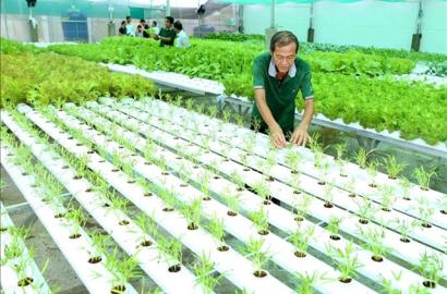 Tác Động Của 'Hàng Rào Xanh' EU Đến Thị Trường Bất Động Sản Nông Nghiệp Và Đầu Tư Việt Nam