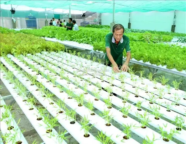 Tác Động Của 'Hàng Rào Xanh' EU Đến Thị Trường Bất Động Sản Nông Nghiệp Và Đầu Tư Việt Nam