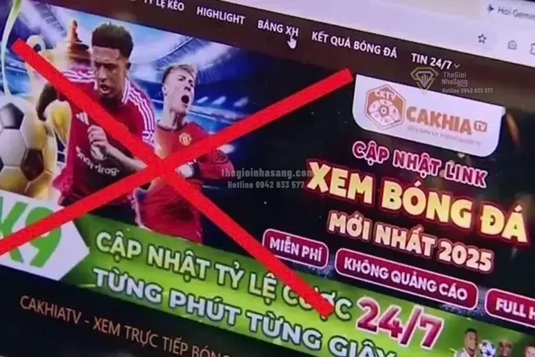 Tác Động Của Vi Phạm Bản Quyền Trực Tuyến Đối Với Thị Trường Bất Động Sản Việt Nam Năm 2026