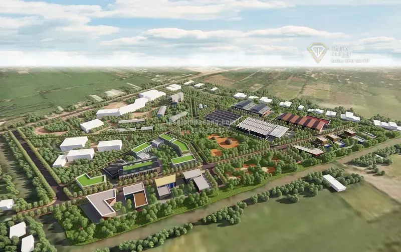 Tạm Dừng Khai Thác Cao Tốc Hậu Giang - Cà Mau: Tác Động và Triển Vọng Phát Triển Bất Động Sản Khu Vực Đồng Bằng Sông Cửu Long