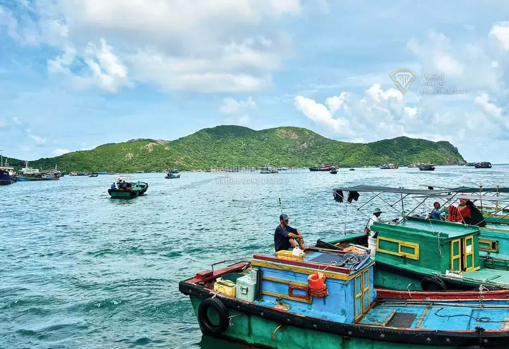 Tầm Nhìn 100 Năm Quy Hoạch Siêu Đô Thị Đa Trung Tâm TP.HCM: Cơ Hội và Thách Thức Cho Thị Trường Bất Động Sản Cao Cấp