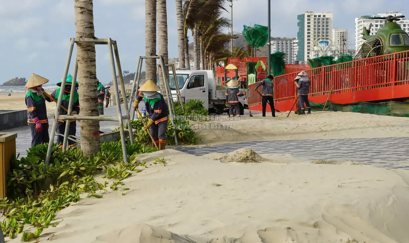 Thách thức và giải pháp bảo vệ công viên Thùy Vân nghìn tỷ trước hiện tượng cát bay tại Vũng Tàu