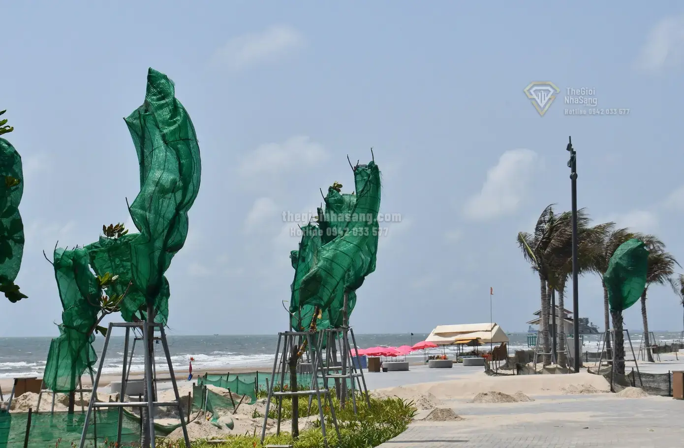 Thách thức và giải pháp bảo vệ công viên Thùy Vân nghìn tỷ trước hiện tượng cát bay tại Vũng Tàu