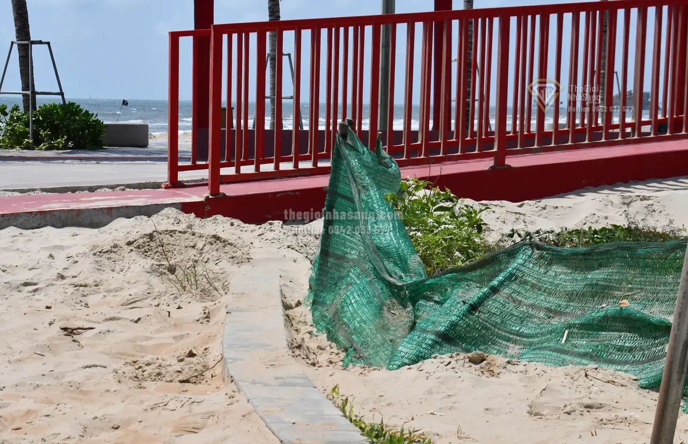 Thách thức và giải pháp bảo vệ công viên Thùy Vân nghìn tỷ trước hiện tượng cát bay tại Vũng Tàu