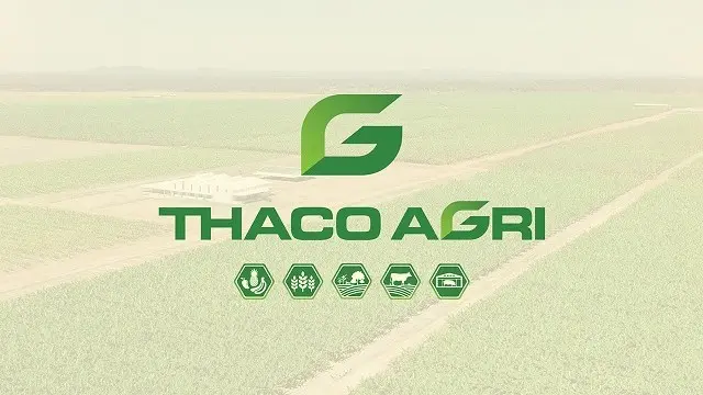 Thaco Agri tất toán sớm khoản nợ 2.400 tỷ đồng giữa lúc HAGL Agrico còn nợ nghìn tỷ
