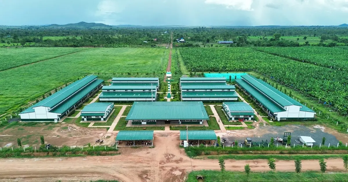 Thaco Agri báo lãi hơn 10 tỷ đồng năm 2024