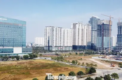 Thị trường văn phòng Hà Nội chuyển dịch mạnh mẽ ra vùng ven: Xu hướng và cơ hội đầu tư 2024-2028