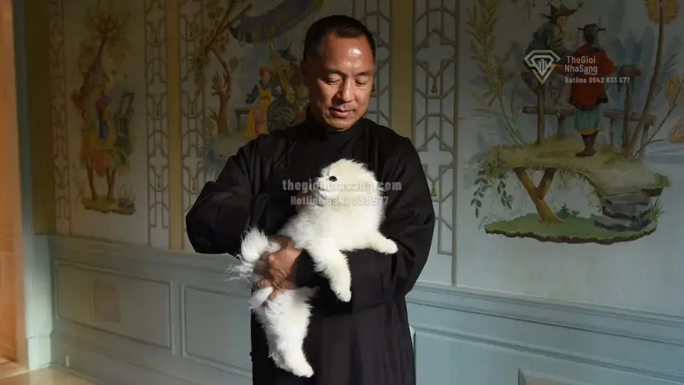 Thuế Mỹ áp lên pin mặt trời Đông Nam Á: Cơ hội và thách thức cho thị trường bất động sản xanh