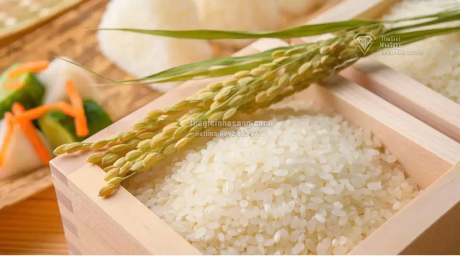 Thủy điện tích năng: Bước tiến chiến lược trong phát triển năng lượng và ảnh hưởng đến thị trường bất động sản Việt Nam và Đông Nam Á