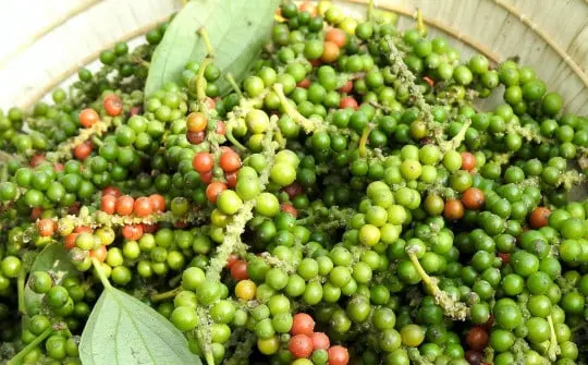 Dù có tuần giảm, giá tiêu trong ngắn hạn vẫn được dự báo khả quan vì cạn hàng