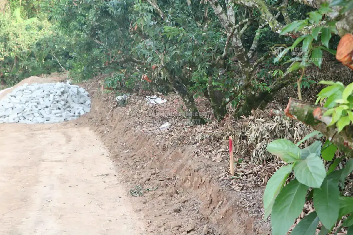 Tinh Thần Đồng Thuận Của Đồng Bào Vùng Cao Trong Phát Triển Hạ Tầng Giao Thông Nông Thôn