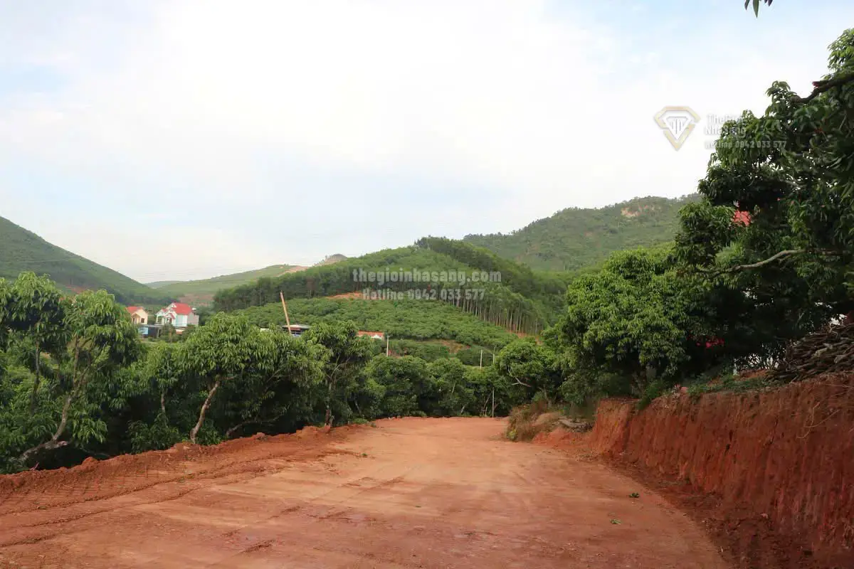 Tinh Thần Đồng Thuận Của Đồng Bào Vùng Cao Trong Phát Triển Hạ Tầng Giao Thông Nông Thôn