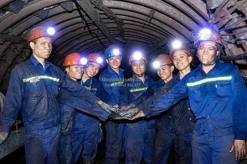 TKV Đảm Bảo Nguồn Than Ổn Định Giữa Nắng Nóng Kéo Dài: Tác Động Đến Thị Trường Bất Động Sản Và An Ninh Năng Lượng Việt Nam 2026