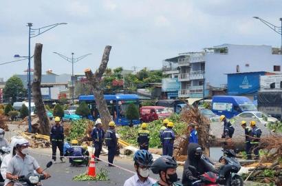 TP HCM Di Dời Hơn 400 Cây Xanh Để Triển Khai Dự Án Metro Bến Thành - Tham Lương: Tác Động Và Triển Vọng Thị Trường Bất Động Sản