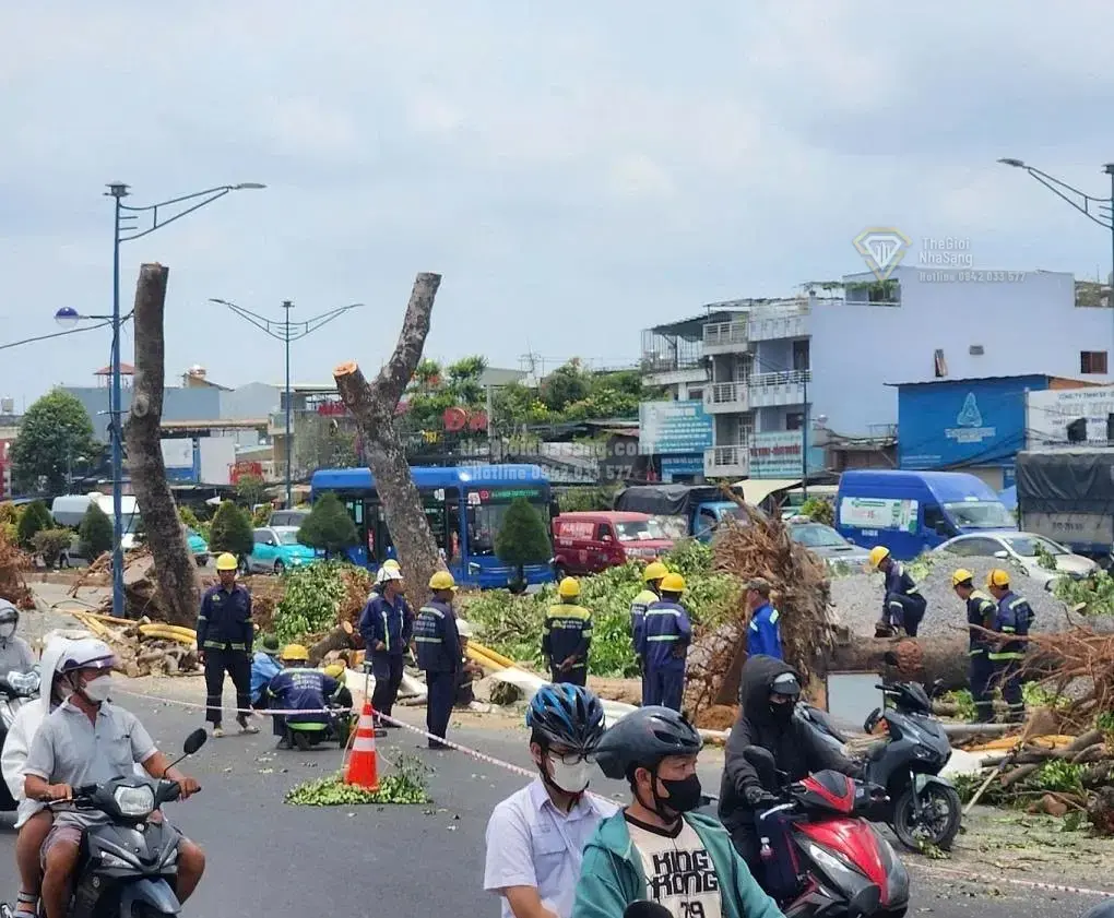 TP HCM Di Dời Hơn 400 Cây Xanh Để Triển Khai Dự Án Metro Bến Thành - Tham Lương: Tác Động Và Triển Vọng Thị Trường Bất Động Sản