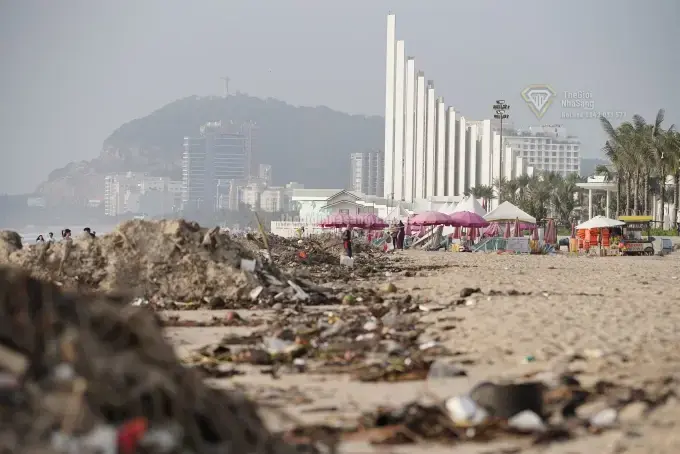 TP HCM Lắp Phao Ngăn Lục Bình Trôi Dạt: Tác Động và Cơ Hội Đầu Tư Bất Động Sản Ven Biển Vũng Tàu