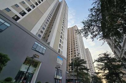 TP.HCM Đẩy Mạnh Phát Triển Nhà Ở Xã Hội và Hạ Tầng Giao Thông Giai Đoạn 2026-2027