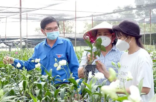 Loại hoa quý tộc này trồng thành công ở Long An, hoa nở cản chả kịp, bán hút hàng