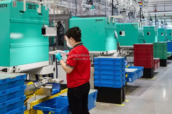 Từ 1/4: Người độc thân thu nhập 25 triệu đồng/tháng được tiếp cận nhà ở xã hội tại TP.HCM