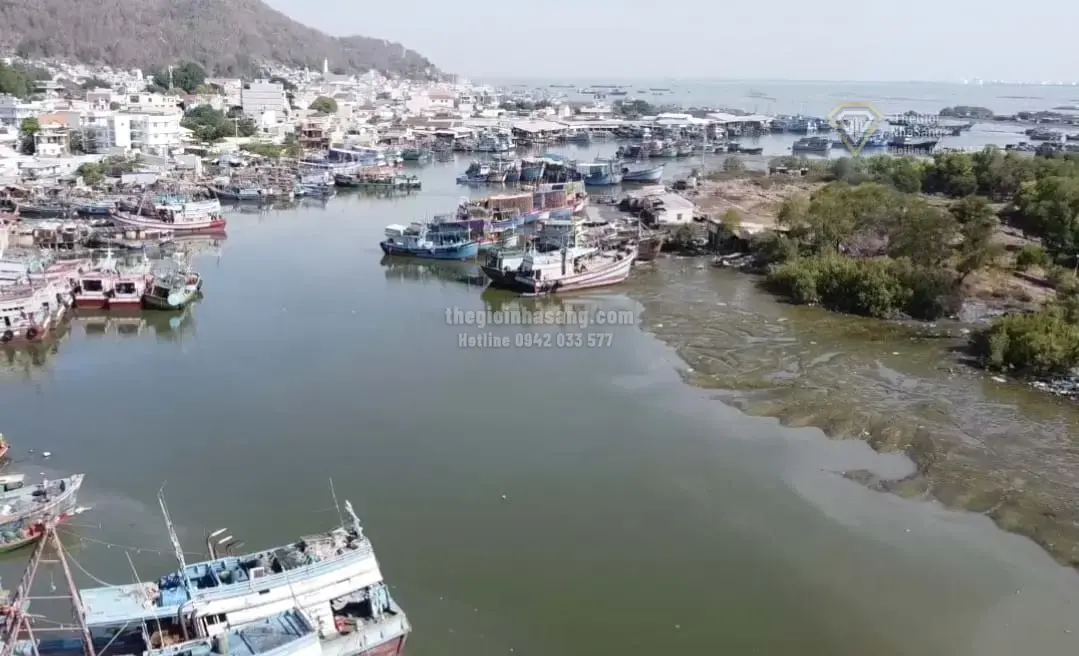 Tuyến Đường Vượt Biển Cần Giờ - Vũng Tàu: Bước Đột Phá Hạ Tầng Mở Rộng Không Gian Đô Thị Ven Biển